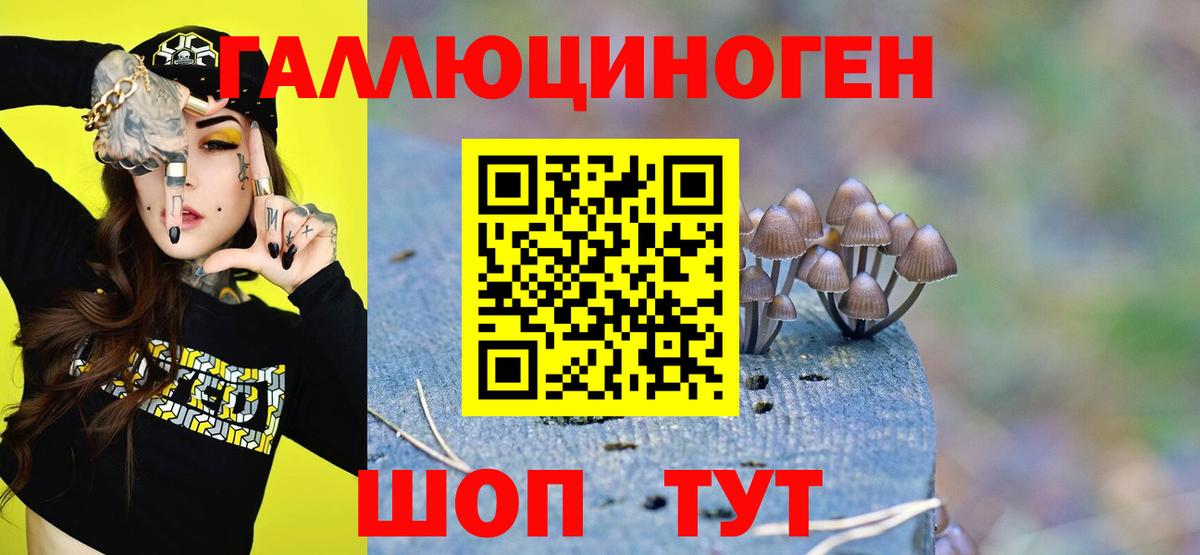 Переславль-Залесский  продажа наркотиков  Вход с VPN  Галлюциногенные грибы GOLDEN TEACHER 