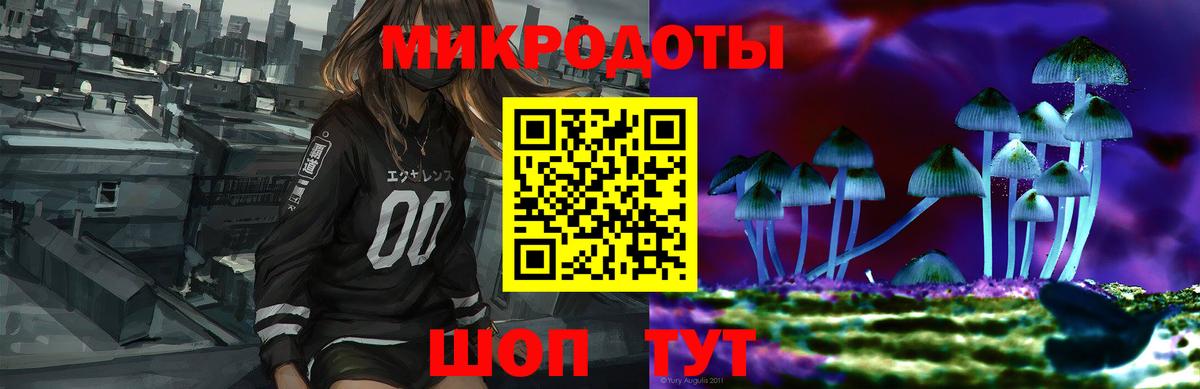 Псилоцибиновые грибы Psilocybine cubensis Переславль-Залесский